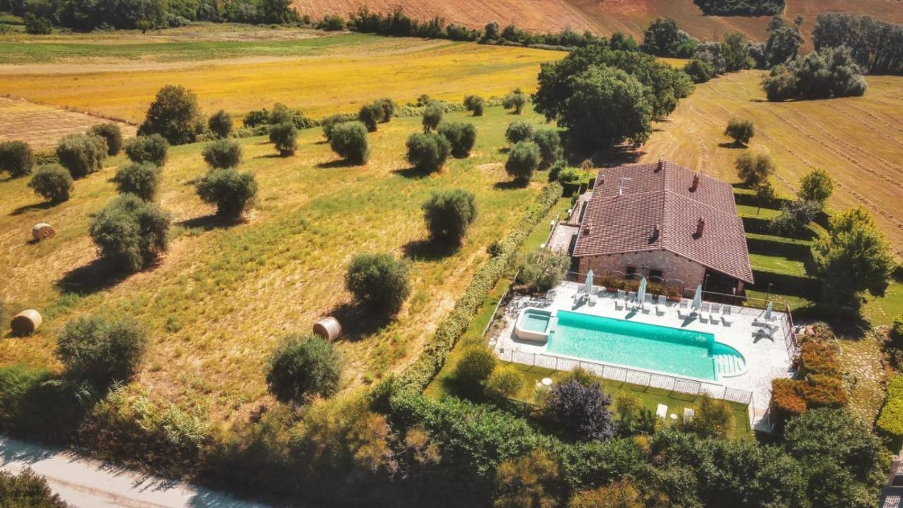 Agriturismo Dei Casali 阿米里亚 外观 照片