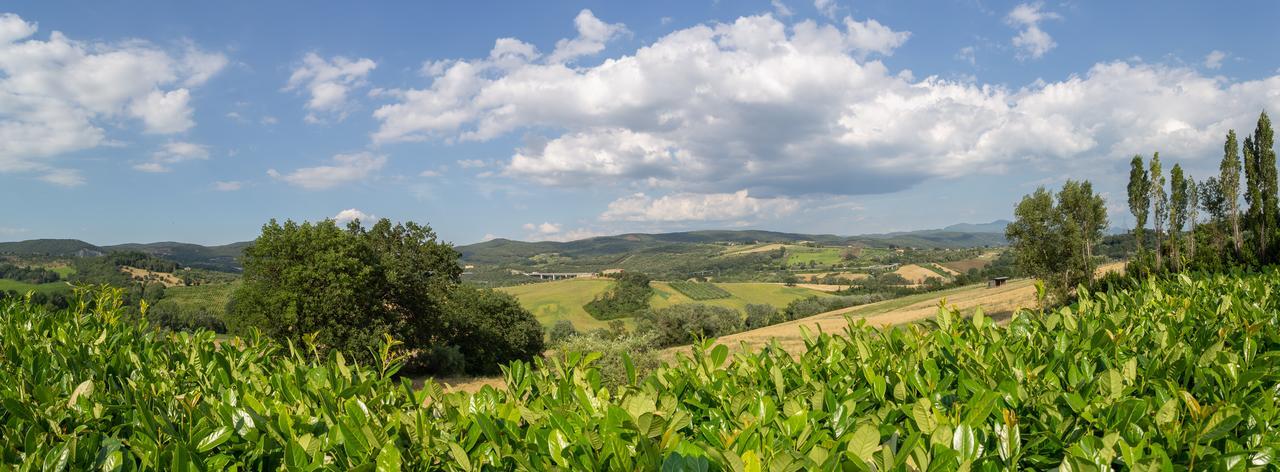 Agriturismo Dei Casali 阿米里亚 外观 照片